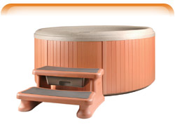 Leisure Concepts SmartStep