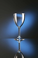9oz Polycarbonate Premium Wine Glass